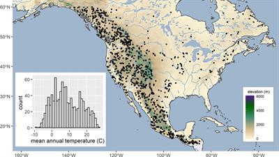 A climate analog approach to evaluate seed transfer and vegetation transitions